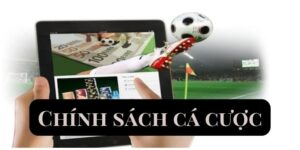 Chính Sách Cá Cược Của Nhà Cái